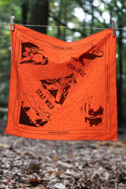 Bandana - Image 2